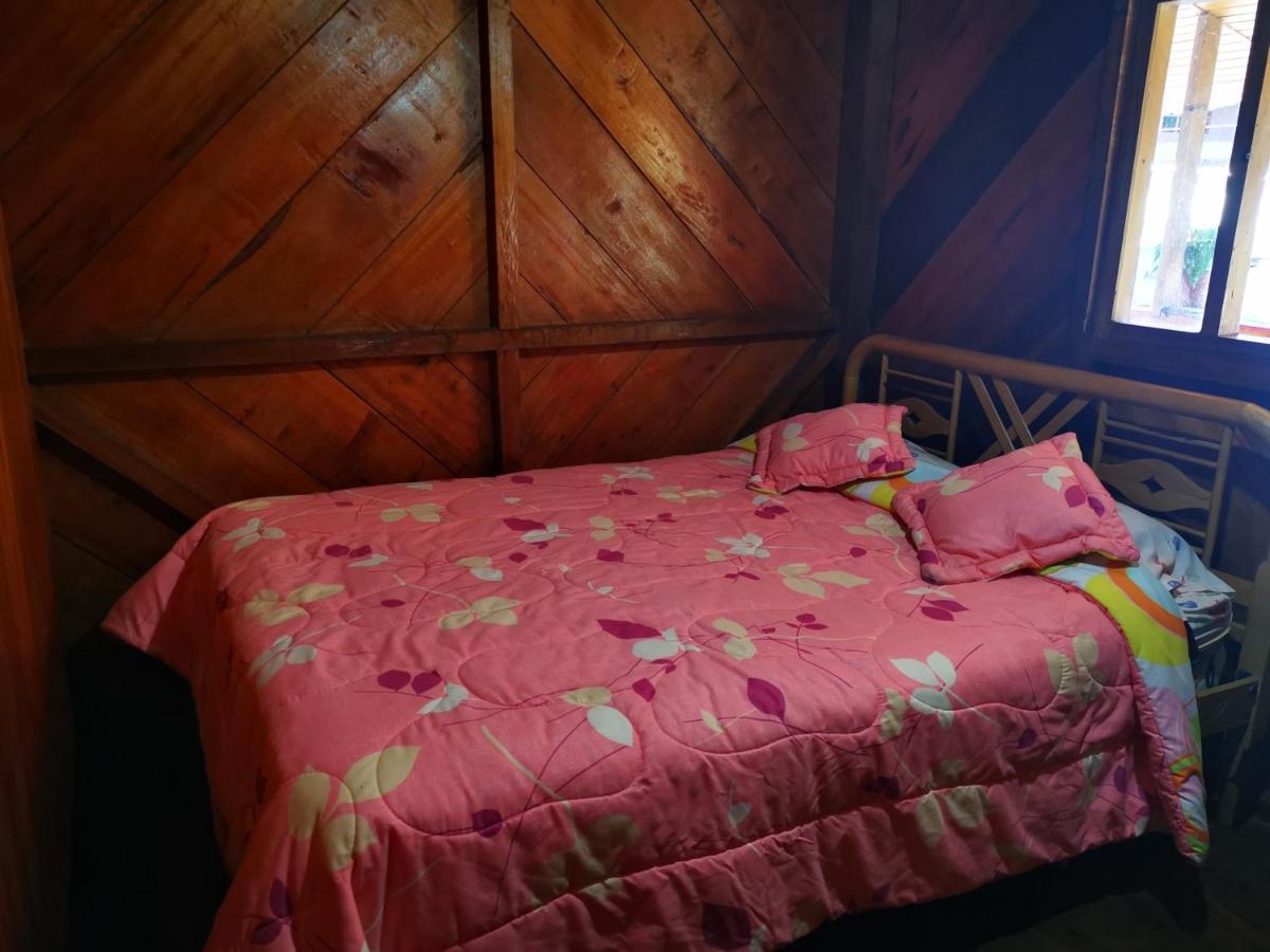 La Tranquilidad Hostel Mindo Ngoại thất bức ảnh